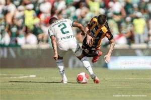 Palmeiras inicia a final do Paulistão contra o Novorizontino; veja detalhes do jogo