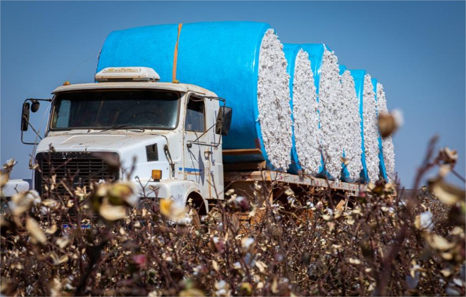 Mato Grosso lidera a balança comercial brasileira em 2025