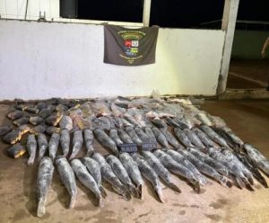 Batalhão Ambiental da PM prende homem com mais de 340 kg de pescado ilegal em Cuiabá Facebook