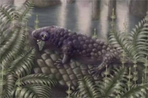 Quadrúpede de 307 milhões de anos é o vertebrado mais antigo que comia plantas