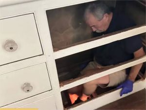 Cômoda do século 19 esconde passagem secreta para fuga de escravos nos EUA; vídeo