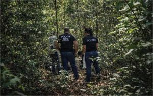 Ossada humana é encontrada em área de mata no interior