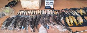 Dois homens são detidos com 48 peixes irregulares de diversas espécies