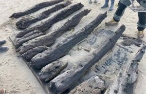 Tempestade leva naufrágio do século 17 a praia na Inglaterra; fotos