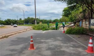 Equipes do VG em Ação avançam com mais de 40 frentes de trabalho