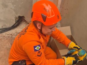 Corpo de Bombeiros realiza captura de arara-canindé e ouriço-cacheiro que estavam em perímetro urbano