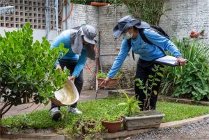 Cuiabá registra queda expressiva nos casos de Dengue e Chikungunya em 2026