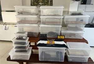 Polícia Civil deflagra operação contra manutenção irregular de animais silvestres e exóticos