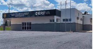 Polícia Civil apreende 32 toneladas de carne bovina durante investigações de roubos de veículos