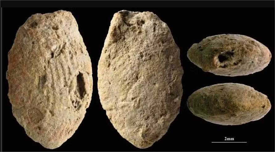 Crianças já moldavam objetos de argila há 15 mil anos, diz estudo