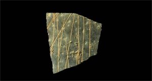 Gravuras em ovos de avestruz de 60 mil anos revelam geometria mais antiga da humanidade