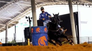 Semana do Cavalo movimenta R$ 60 milhões e gera cerca de 2 mil empregos no Parque Novo Mato Grosso